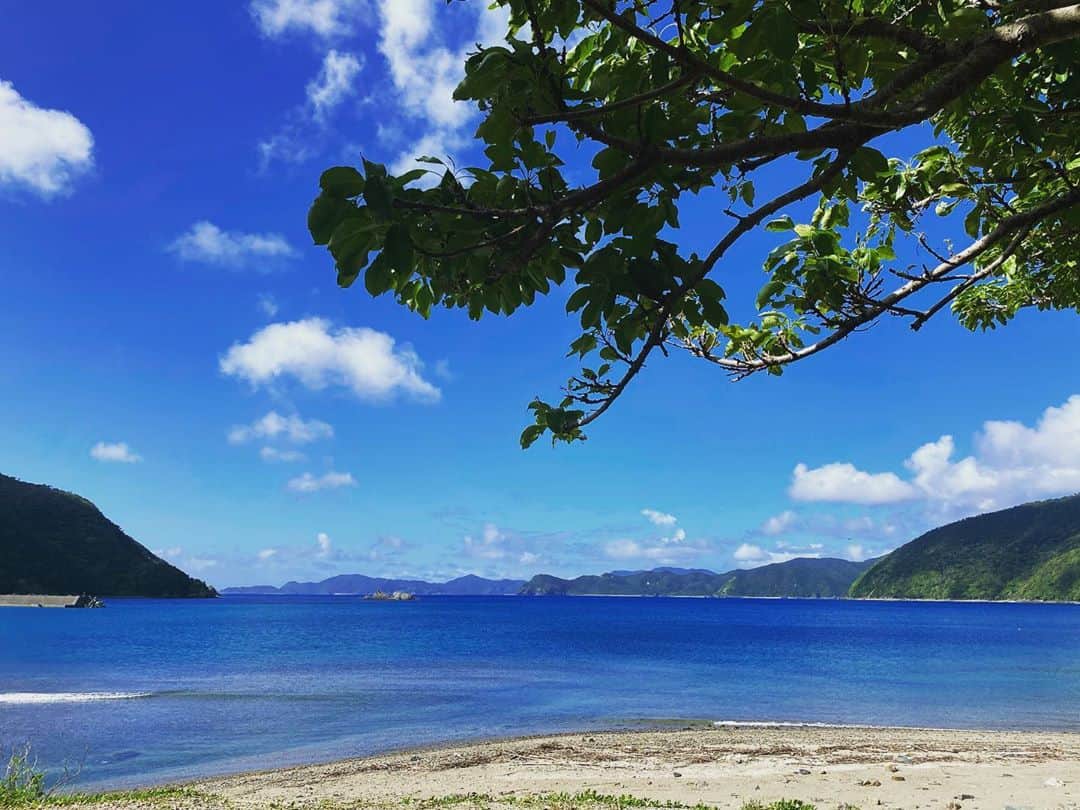 三谷晶子のインスタグラム：「出勤前の Today's blue.  #加計呂麻島　 #kakeromaisland  #sea  #ocean #sky #blue」