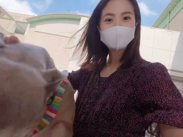 渋佐和佳奈のインスタグラム：「きょうはだいぶ涼しくなるようですね。皆さま風邪などひかないように気をつけてお過ごしください🍀  写真はきのう公園にお散歩に行ったときのです🐶💖 昨日1枚目の動画をストーリーズに「ルカちゃんの顔がキョロキョロしていて落ち着きがない」と投稿したら、私の撫で方の方が落ち着きがないと友達からコメントが😂笑　 確かにせわしない、、、👋笑  ラストの動画は、9年前にルカちゃんが我が家に来た時のです☺️☺️☺️なんて可愛いのおおおおおおお〜💓  連休明けの平日ですが… 今日も皆さまがんばりましょう❣️」