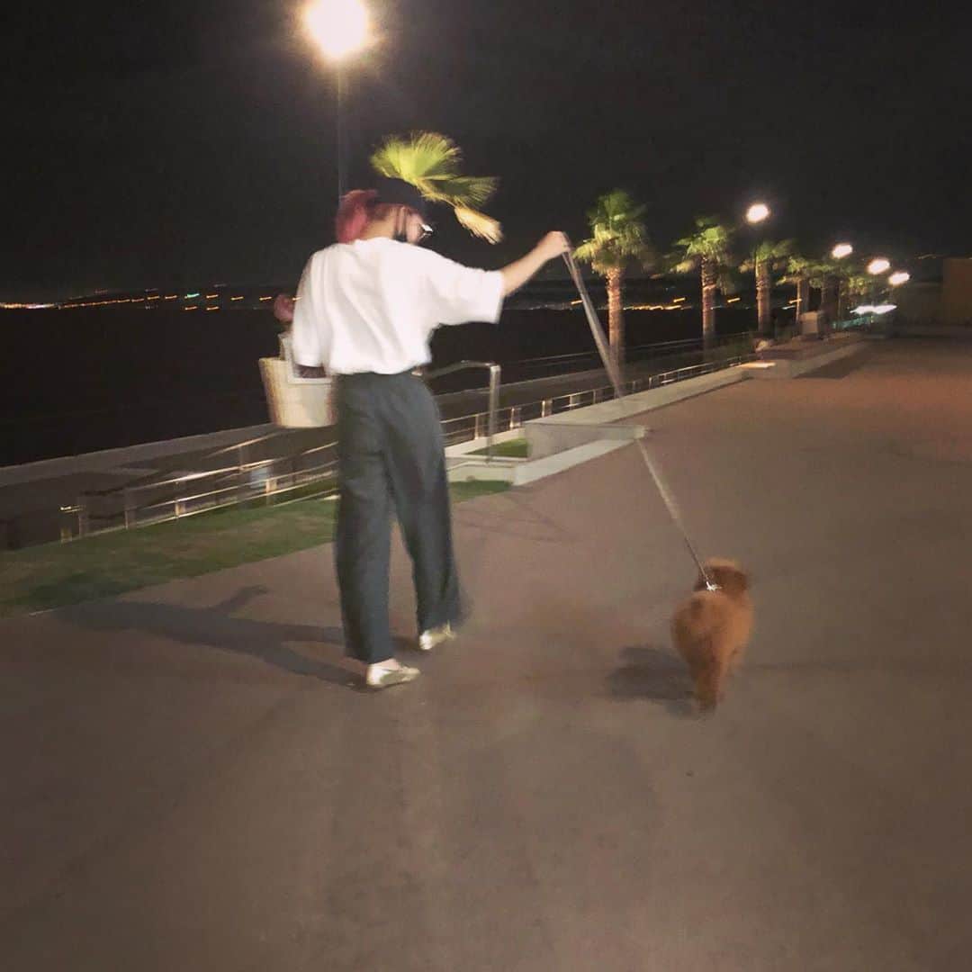澤田桃佳のインスタグラム：「涼しくなったら、色んな所お散歩行こうね☺︎ 暴れん坊さんだから、母はとても疲れるけど（笑）」