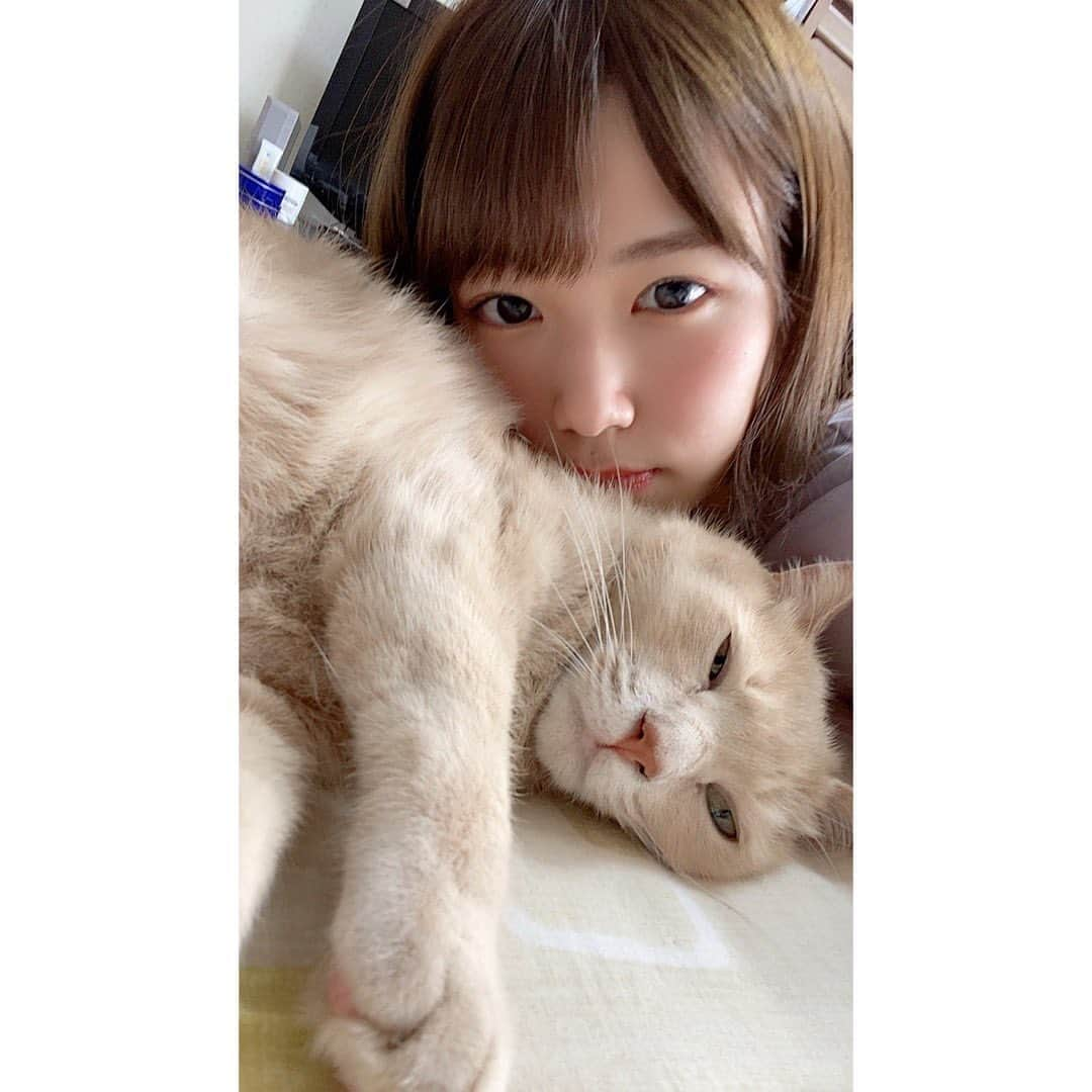 村上りいなさんのインスタグラム写真 - (村上りいなInstagram)「仲良し🥰  #猫のいる暮らし #猫 #family #cat #cute #instagood」9月23日 10時41分 - riina_murakami