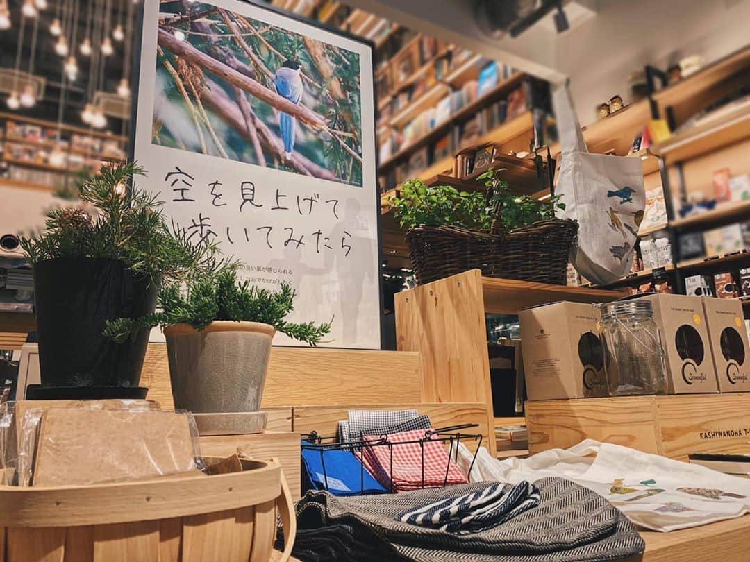 柏の葉 T-SITEのグルメインスタ