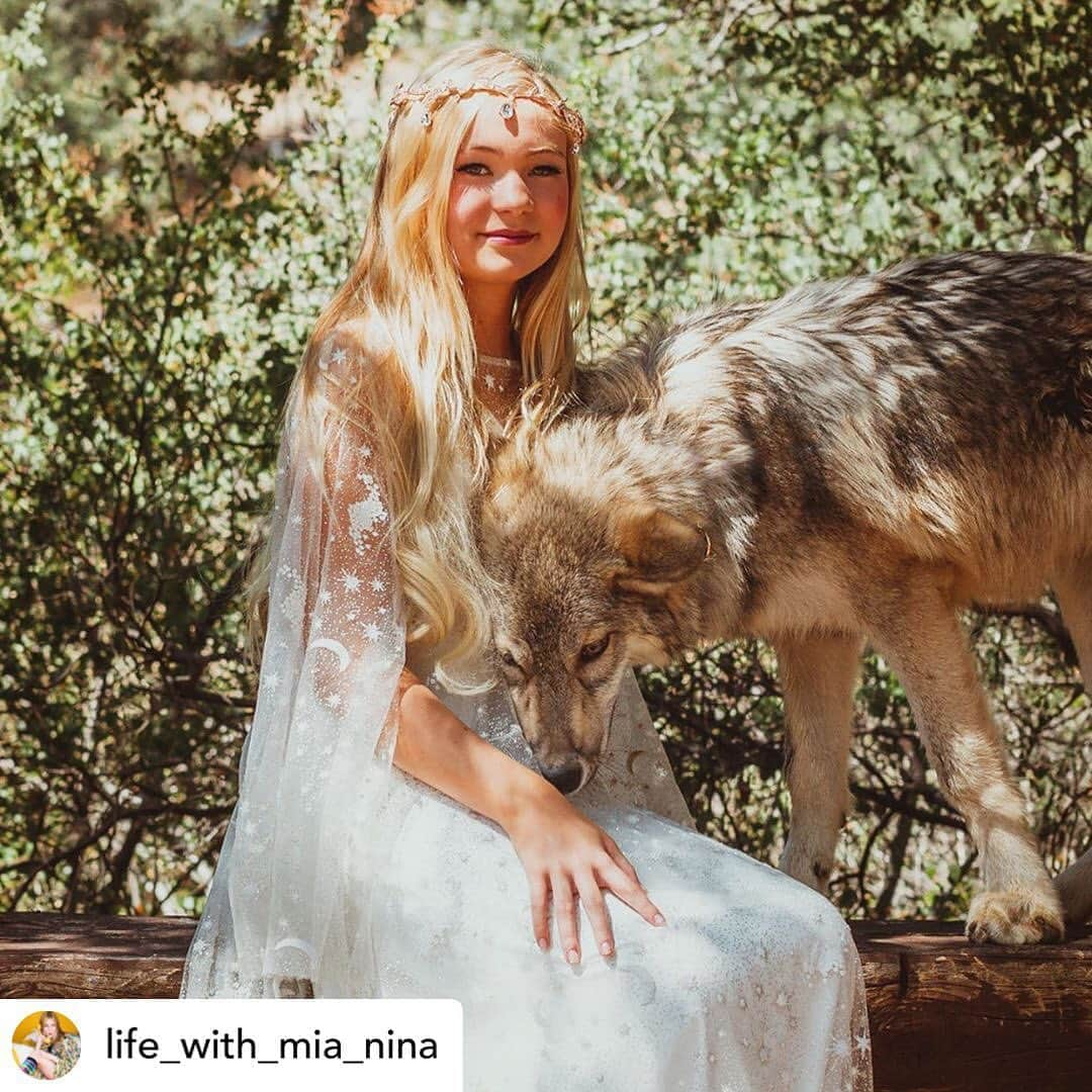 Rylaiさんのインスタグラム写真 - (RylaiInstagram)「It’s two post Tuesday!!! Wow!!  . It’s because we are so super excited about our upcoming programs featuring @life_with_mia_nina - Mia will be helping us reach a younger population and inspire this generation to fall in love with canid conservation!  We have so many fun programs, from school based educational presentations, field trips, and virtual events!! And of course, Mia will be hosting her famous Photoshoot Fundraisers for Kids!! Stay tuned parents!!!! These will be exactly what your kids need to help grow, heal, and learn during these difficult times!  . This photo came from our first Mia hosted  photoshoot fundraiser featuring photographer @marielafranquephotography. .  Posted @withregram • @life_with_mia_nina Never ending story vibes ❤️ moonchild loving and taming a servant of the nothing ❤️❤️ he now serves moonchild ♥️ all animals deserve to be loved 🐺 . . . . . #photoshoot #fundraiser #lucan #wolf #wolfdog #wolves #wolfpack #photography #doggie #dog #doglovers #jabcecc #ambassador #conservation #animalwelfare #betheirvoice」9月23日 11時12分 - jabcecc