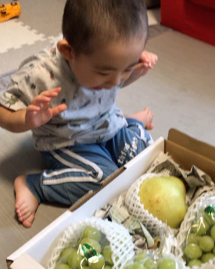 高橋みゆきのインスタグラム：「ブドウ🍇きたぁ〜🙌🤤 #ブドウ#シャインマスカット #ウマー　#皮ごと最高　#種無し最高　#心ノ祐大興奮　#ブドウ大好き　#山形　#去年はブドウ狩り行けたけど…今年は残念」