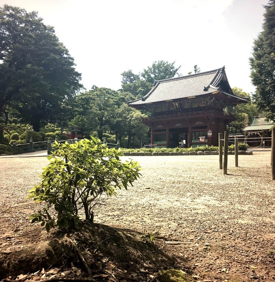 hotelgraphynezuさんのインスタグラム写真 - (hotelgraphynezuInstagram)「GoToキャンペーンにてどこへ行きますか？東京の根津神社はいかがでしょうか？⛩️⁠ ⁠ HOTEL GRAPHY NEZUから根津神社まで歩10分ですので、もちろんHOTEL GRAPHY NEZUに滞在するのはオススメです！😉⁠ ⁠ 古代東京に戻ることはいかがですか？⁠ ----------------------------------------------------------------⁠ Go To travel to...Nezu Shrine？⁠⛩️⁠ As we are just 10 min away from this famous power spot, we recommend a relaxing stay at HOTEL GRAPHY NEZU, at the heart of  Yanesen area. Ready for a coming back to ancient Tokyo?⁠ ⁠ @hotelgraphynezu⁠ -----------------------------------------------------------------#hotelgraphynezu⁠ #ホテルグラフィー根津⁠ #tokyowalk#yanaka#taitoku#ueno#uenotokyo#tokyolife#tokyojapan#tokyotrip2020#japantrip2020#asiatrip#lovetokyo#lifeintokyo#gotocampaign#tokyophoto#nezushrine⁠ #東京散歩#東京ライフ#東京生活#東京観光#台東区#上野#谷根千#根津#谷中#下町#gotoキャンペーン#gotoキャンペーン東京#根津神社」9月23日 11時40分 - hotelgraphy_nezu