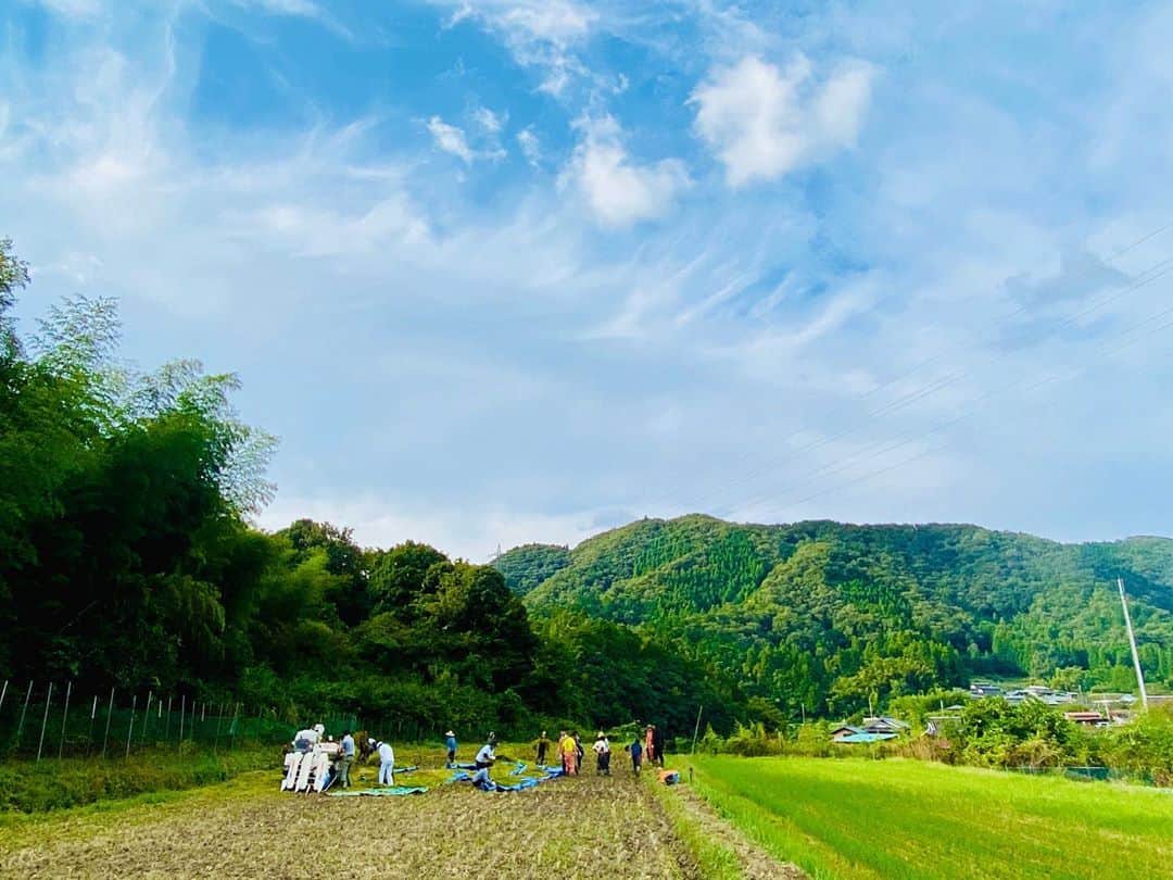 木嶋菜穂子さんのインスタグラム写真 - (木嶋菜穂子Instagram)「.﻿ ﻿ 昨日は稲刈り🌾✨✨﻿ ﻿ 京都 綾部の﻿ 山に囲まれた気持ちいい田んぼへ﻿ ﻿ ﻿ ﻿ 土のにおいと﻿ ﻿ あふれる緑のなか﻿ ﻿ 一束ずつ手で収穫したり﻿ 泥がついたのをよけたり﻿ ﻿ 日常では体験できない﻿ 心から癒される時間でした♡﻿ ﻿ ﻿ ﻿ ﻿ そして、﻿ どんどん収穫されて﻿ 広くなっていく田んぼに﻿ ものすごく達成感✨﻿ ﻿ ﻿ 目にみえるゴールを﻿ 達成していくのは﻿ なんかエネルギーわいてきますね♡﻿ ﻿ (大人数だから感動もある🥺)﻿ ﻿ ﻿ ﻿ ﻿ また、今回は、娘も一緒に﻿ 参加させていただき、﻿ 二人とも人生初の稲刈り体験。﻿ ﻿ ﻿ どろんこになって﻿ 稲でいっぱいのバケツを運び、﻿ ﻿ もう生き生きとしてる顔をみて﻿ ﻿ たくましくなったなぁと🥺💕﻿ ﻿ ﻿ ﻿ こういう時間を﻿ ゆっくり楽しめるようになった最近﻿ ﻿ ほんとに心から豊かに﻿ 生きられるようになったなぁと思う♡﻿ ﻿ ﻿ 収穫したお米を﻿ いつか一緒に食べられる日が楽しみ☺️﻿ ﻿ - - - - - - - - - - - - - - - - - - ﻿ ﻿ 👗おうちで起業・副業したい方へ﻿ ﻿ 会社員でも、在宅主婦でも﻿ 知識ゼロから毎月5〜70万 へ﻿ ﻿ \ 難しくない！スマホでできる！/﻿ ﻿ 女子の楽しい毎日をつくる👠✨﻿ ﻿ "やさしいアパレル輸入物販"﻿ メルカリ物販コミュニティ LINO﻿ ﻿ ﻿ ※﻿ 新規むけ全国セミナーはお休み、﻿ オンライン無料個別相談 受付中♡﻿ ﻿ 💌お問い合わせは﻿ プロフィールのトップリンク﻿ LINE@より﻿ ﻿ ﻿ #綾部農民デビュー」9月23日 12時06分 - naco_mybrand