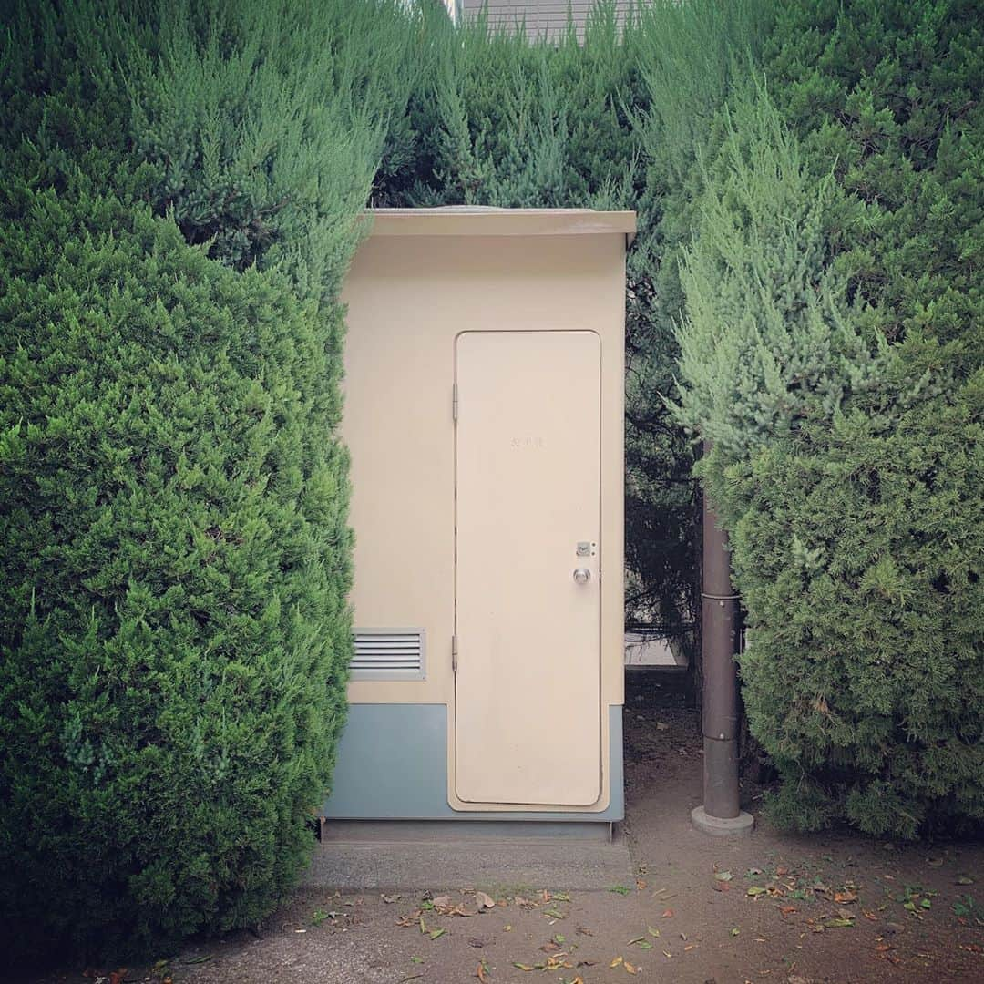 マシュー・チョジックさんのインスタグラム写真 - (マシュー・チョジックInstagram)「🌳🚽🌳 #publictoilet in #Tokyo #東京 の #公衆トイレ #散歩中 #onawalk #Japan」9月23日 12時41分 - matthew_chozick