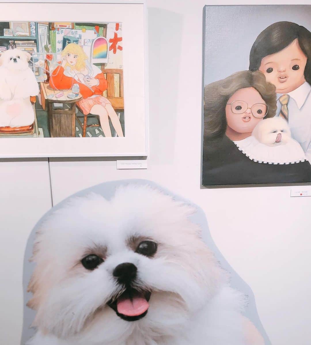 渡辺梨夏子のインスタグラム：「癒し空間 すぎました🐶✨ 今週末までのようです〜！ うごくモコゾウが可愛すぎる缶バッチも手にいれた〜！！  #モコゾウ #モコゾウアート展」