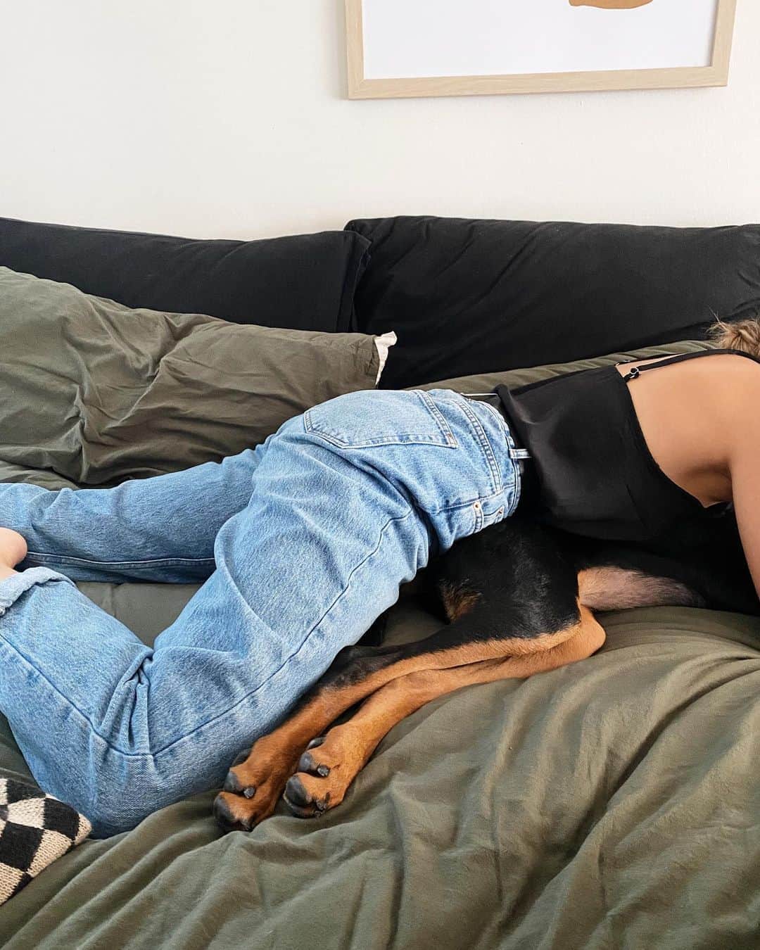 Camden Scottのインスタグラム：「Quick cat (?) nap」