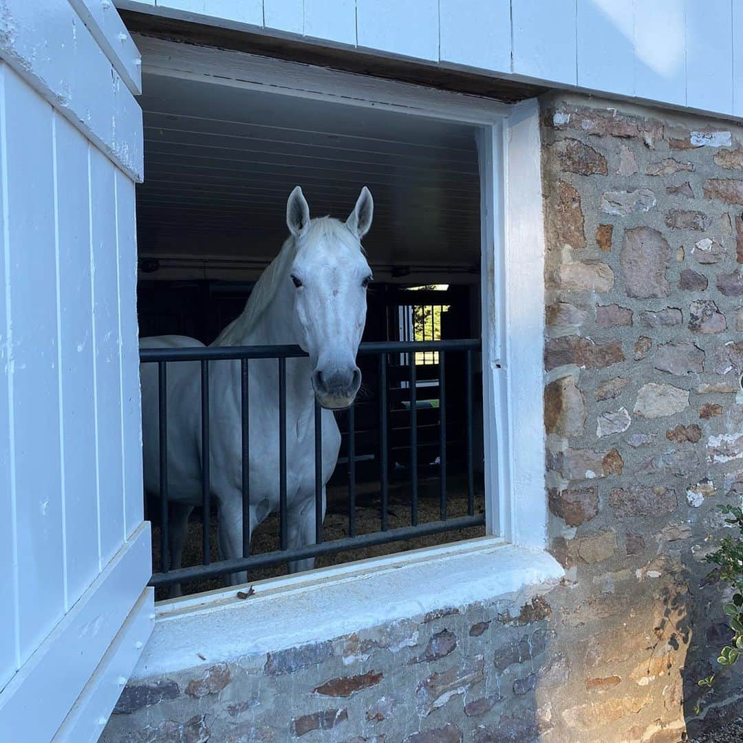 デュア・リパさんのインスタグラム写真 - (デュア・リパInstagram)「💐 𝓯𝓵𝓸𝔀𝓮𝓻 𝓯𝓸𝓻𝓪𝓰𝓲𝓷𝓰 💐+ ♥ tiny animals ♥」9月24日 0時02分 - dualipa