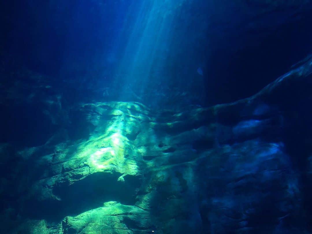 崎乃奏音さんのインスタグラム写真 - (崎乃奏音Instagram)「青の世界にいたら青には気付けない 外の世界にいたら息苦しくて不安でも 輝く粒子で分かる  #CYNHN #水生 #水族館 #aquarium #青 #blue #water」9月24日 0時00分 - sakinosoto