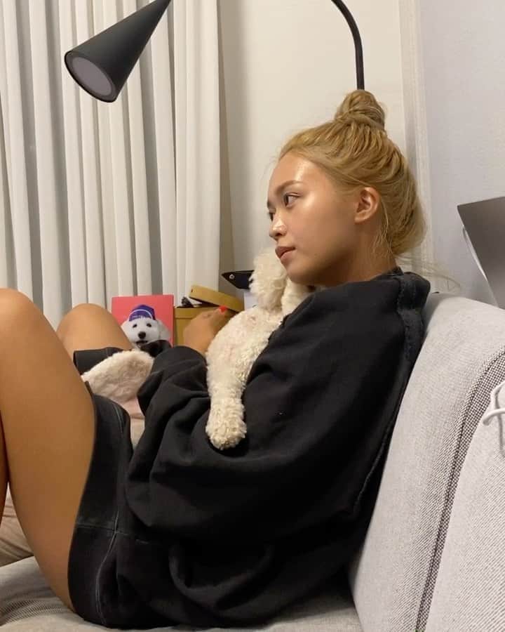 キム・ダヘのインスタグラム：「피드에 올려달라하셔서 키키 귀여운 아기 김율무 🐶」