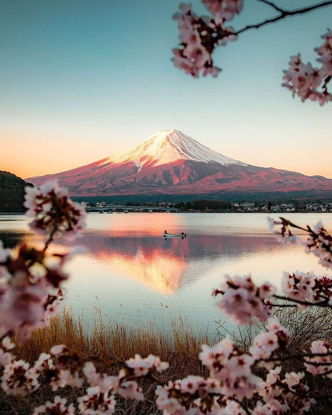 Canon Photographyさんのインスタグラム写真 - (Canon PhotographyInstagram)「A wonderful Japanese sunrise 🌸 Photography // @ryanresatka Curated by @steffeneisenacher  #mtfuji #japan #cherryblossom #blossom #reflection」9月23日 15時30分 - cpcollectives