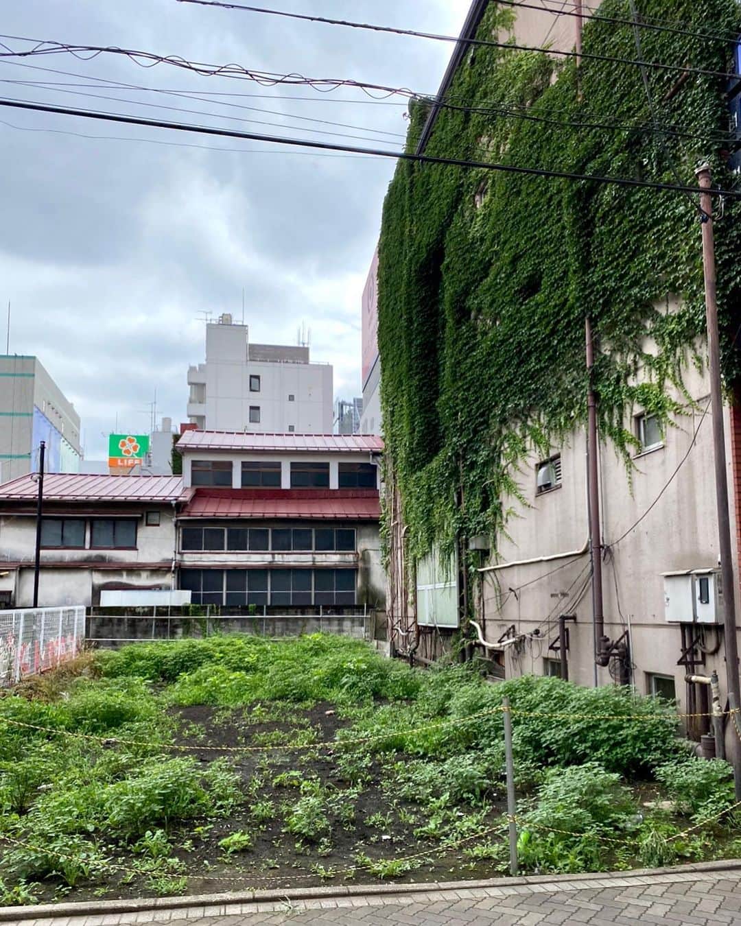 江口寿史さんのインスタグラム写真 - (江口寿史Instagram)「街の風景は、変わってしまうとすぐに慣れてしまう。そこの場所に何があったか思い出せない程にすぐに忘れてしまう。 ここはお好み焼き屋の「まりや」の旧店舗があった場所。もうすっかり元からそこにあったような駐輪場になっている。 森山直太朗が歌うように、こうして日本中の街はどこもかしこも駐車場かコンビニになるんだろう。 在りし日の「まりや」の写真、壊される前に何度か撮っておいたはずなのに、写真フォルダから見つけられない。」9月23日 15時52分 - egutihisasi