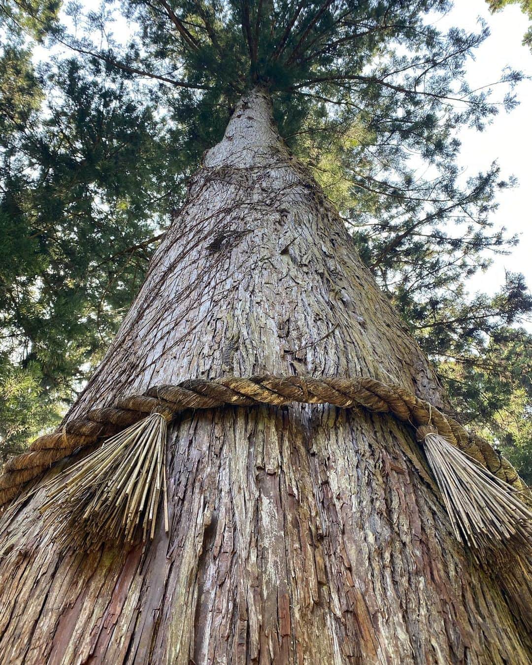 SHOCK EYEのグルメインスタ