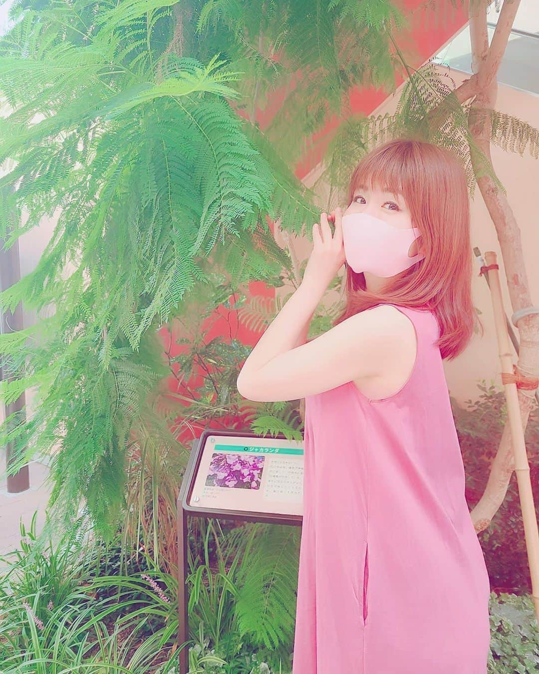 のインスタグラム：「台風が来てますのでお気をつけくださいね﻿ 😔😔﻿ ﻿ いつか撮った写真﻿﻿﻿﻿😊﻿ 南国に見えて実は越谷レイクタウン🤣🤣﻿ ﻿ ﻿ ﻿ ﻿ ﻿ ﻿﻿﻿﻿﻿﻿﻿﻿﻿﻿﻿﻿﻿﻿﻿﻿ 17ライブというライブ配信アプリをしています❤️﻿﻿﻿﻿﻿﻿﻿﻿﻿﻿﻿﻿﻿﻿﻿﻿ アプリをダウンロードしていただいて﻿﻿﻿﻿﻿﻿﻿﻿﻿﻿﻿﻿﻿﻿﻿﻿ ようこ❤️🌸❤️🌸﻿﻿﻿﻿﻿﻿﻿﻿﻿﻿﻿﻿﻿﻿﻿﻿ と検索していただくと見れます✨﻿﻿﻿﻿﻿﻿﻿﻿﻿﻿﻿﻿﻿﻿﻿﻿ 19時頃から配信してます。﻿﻿﻿﻿﻿﻿﻿﻿﻿﻿﻿﻿﻿﻿﻿﻿ おうち時間にぜひ🤭﻿﻿﻿﻿﻿﻿﻿﻿﻿﻿﻿﻿﻿﻿﻿﻿ #ライブ配信#配信﻿﻿﻿﻿﻿﻿﻿﻿﻿﻿﻿﻿﻿﻿﻿﻿ #アプリ#17ライブ﻿﻿﻿﻿﻿﻿﻿﻿ ﻿﻿﻿﻿﻿﻿﻿﻿ #グラビア#インスタグラビア﻿﻿﻿﻿﻿﻿﻿﻿#綺麗になりたい﻿﻿﻿﻿﻿ #セクシー#sexy#笑顔#ダイエット﻿﻿﻿﻿﻿﻿﻿﻿﻿﻿﻿﻿﻿﻿﻿﻿ #diet#美容#美容好きな人と繋がりたい﻿﻿﻿﻿﻿﻿﻿﻿﻿﻿﻿﻿﻿ #お尻#尻#hip#インフルエンサー#PR」