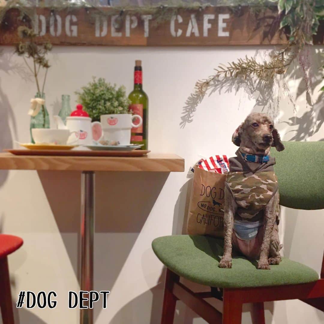 佐藤円香さんのインスタグラム写真 - (佐藤円香Instagram)「昨日は妹わんこ達とお台場に行きました😊✨  初めての #dogdeptcafe 🥰 フォトスポットもあって店内がとっても可愛かった( ⸝⸝⸝⁼̴́◡︎⁼̴̀⸝⸝⸝)📷  ドッグデプトカフェの次にわんこ同伴OKの焼肉屋さん #うしすけ に行ったけど写真はありません(´･ω･`)｡｡久しぶりの焼肉。とっても美味しかった( ⸝⸝⸝⁼̴́◡︎⁼̴̀⸝⸝⸝)♡ わんこ達はハンバーグを食べました🐾 楽しかったね〜( ¨̮ )♩.｡   #ドッグデプト #dogdept #ドッグデプトカフェ #お台場 #うしすけ #犬 #いぬ #いぬすたぐらむ #いぬのきもち #いぬバカ部 #いぬばか #いぬ部 #いぬばか部 #いぬら部 #犬なしでは生きていけません会 #犬バカ #jun #🐩 #トイプードル #개 #토이푸들」9月23日 16時46分 - madoka.p.j.614