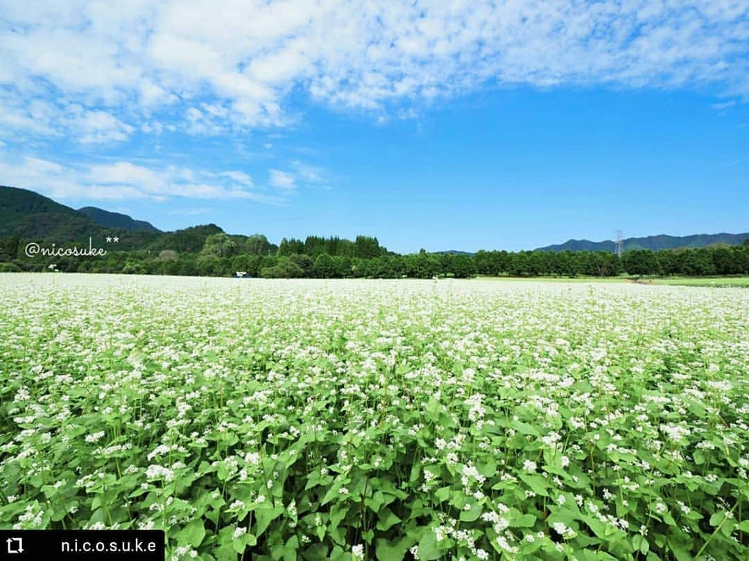 兵庫県のインスタグラム