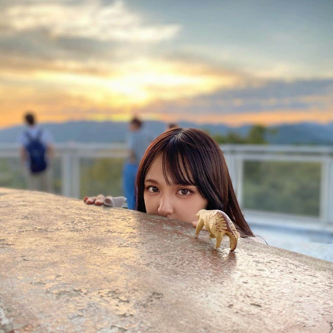 神田麗さんのインスタグラム写真 - (神田麗Instagram)「夕陽ねこ」9月23日 17時02分 - _reite_me