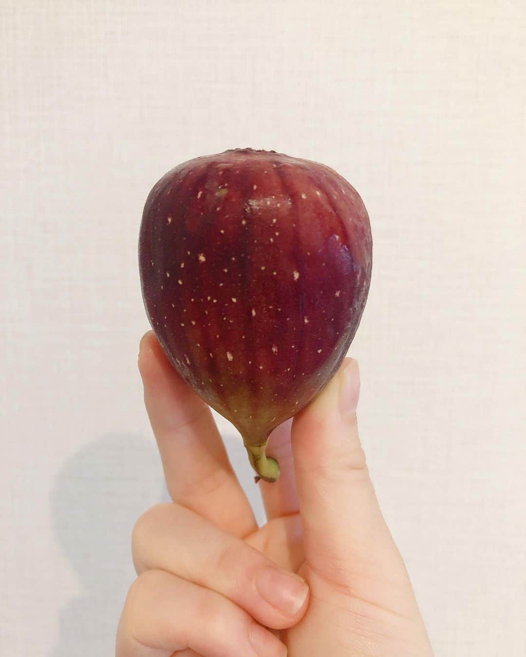 山本紗也加のインスタグラム：「_ #フルーツスタグラム いちじく。 赤い果物が好き。 以前、いちじくの木が実家にあって 学校から帰ってきては 何個も食べてた。 今思うと贅沢なおやつ。 _ #いちじく#フルーツ好き #お誕生日でいただいた #ナガノパープル #単品で撮り忘れて凹む」