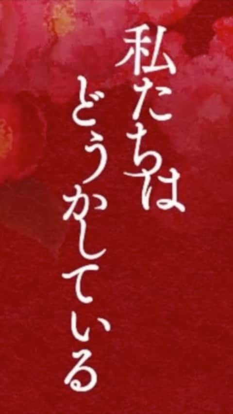 前原滉のインスタグラム：「私たちはどうかしている第7話　 今夜22時〜です！！  そして、勝手にカウントダウン第四弾  果たして、おすぎはわたどうを見てくれるのか！！  #私たちはどうかしている #本編とは全く関係ありません #温かい目で見てください #急に真剣 #探しているものの手がかりを見つけたようです #わたどう勝手にカウントダウン」