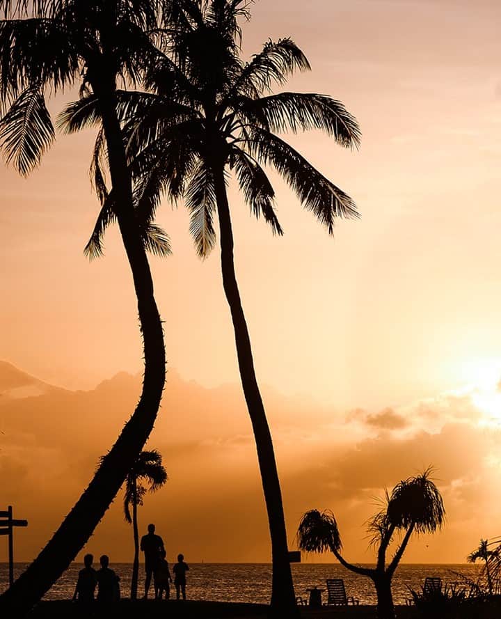 マリアナ政府観光局さんのインスタグラム写真 - (マリアナ政府観光局Instagram)「昼は青い海と空、夕方は燃えるような夕日、夜は満天の夜空。時間帯によってさまざまな表情を見せてくれる南の島マリアナ。⁠ 夕日に照らされる砂浜やヤシの木の陰は南国ムード抜群で、日常を忘れてリラックスできること間違いなし🌅🌴⁠ .⁠ 気の合う友人と、家族と、日常の中にある絶景を見に行く癒しの旅が楽しめるサイパン、テニアン、ロタのマリアナへ、いつか遊びにきてくださいね☺⁠ .⁠ 北マリアナ諸島では政府と島民が一体となり新型コロナウイルスの感染防止に努めています。詳しくはマリアナ政府観光局公式ウェブサイト、または https://japan.mymarianas.com/clean-safe/ をご覧ください。⁠ .⁠ 📷 @izumi.yuya⁠ .⁠ マリアナの夕景スポットを「【妄想トラベル２】感動的なひとときを過ごせるマリアナの夕景スポット7選」で紹介しています✨ 👉 https://japan.mymarianas.com/column/11786/⁠ .⁠ .⁠ 🌻🌻🌻🌻⁠ マリアナ政府観光局×かえるのピクルス コラボ記念❗⁠ .⁠ サイパン旅行で使える #旅行券 が当たる「ピクルスとマリアナ行きたい2020」キャンペーン開催中！⁠ マリアナピクルスpicはもちろん、マリアナの旅の思い出picでの応募も大歓迎🎊🎊⁠ .⁠ .⁠ 🐸 応募方法 🐸⁠ 1. マリアナピクルスpic、またはサイパン・テニアン・ロタの思い出picを用意する📷⁠ .⁠ 2. 次の３つのハッシュタグすべてを付けて投稿⁠ .⁠ #ピクルスとマリアナ行きたい2020 ⁠ #日常にかえるまで ⁠ #ピクルスとステイセーフ ⁠ .⁠ ☘ 締め切り ☘⁠ 2020年10月31日(土)⁠ .⁠ 🌻🌻🌻🌻⁠ .⁠ .⁠ #サイパン #テニアン #ロタ #マリアナ #北マリアナ諸島 #🌴 #南の島 #🌴🌅 #離島暮らし #海外旅行 #夕焼け #海のある生活 #ビーチリゾート #コロナが落ち着いたら #saipan #tinian #rotaisland #northernmarianaislands #tropic #paradise #beautifuldestinations #sunset #beachresort」9月23日 18時01分 - mymarianas_mva
