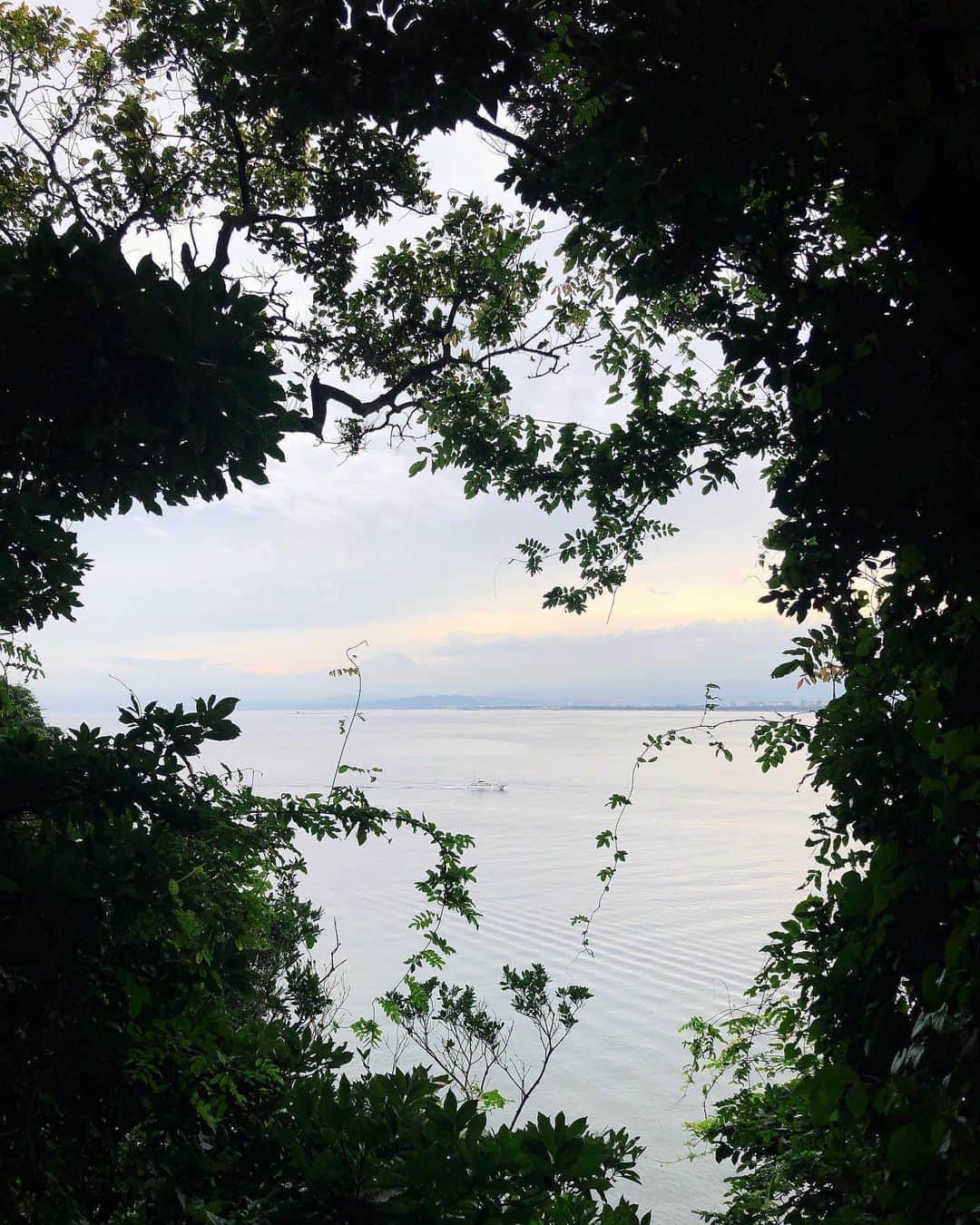 のインスタグラム：「. Wanna be Calm & Stunning in NATURE🌿」