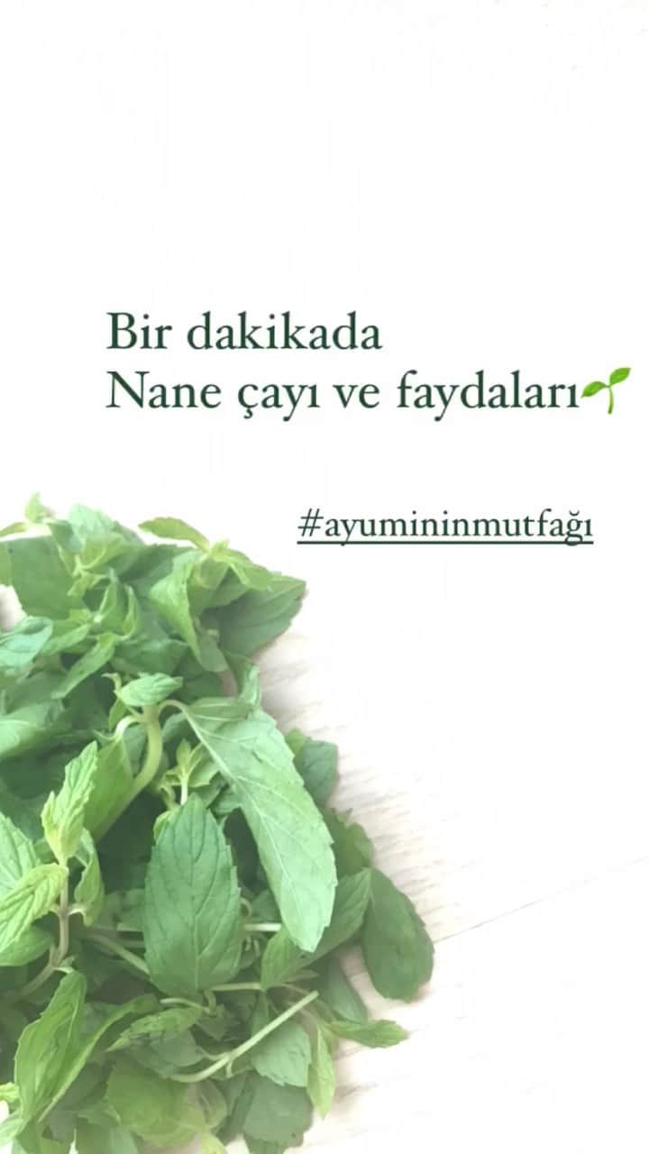 高野あゆ美のインスタグラム：「Tamamını izlemek için sol altta IGTV’yı tıklayın😊  Benefits of fresh mint (Turkish)-Turkey is a fresh herb paradise🌱  Yaz bitti mevsim geçiş dönemlerinde ruhen ve bedenen huzursuz oluyorum içimi ferah tutmak istediğimde nane çay içiyorum ☺️ Tavsiye ederim🌱 #bitkiçay #herbaltea #şifalıbitkiler #ayumininmutfağı」