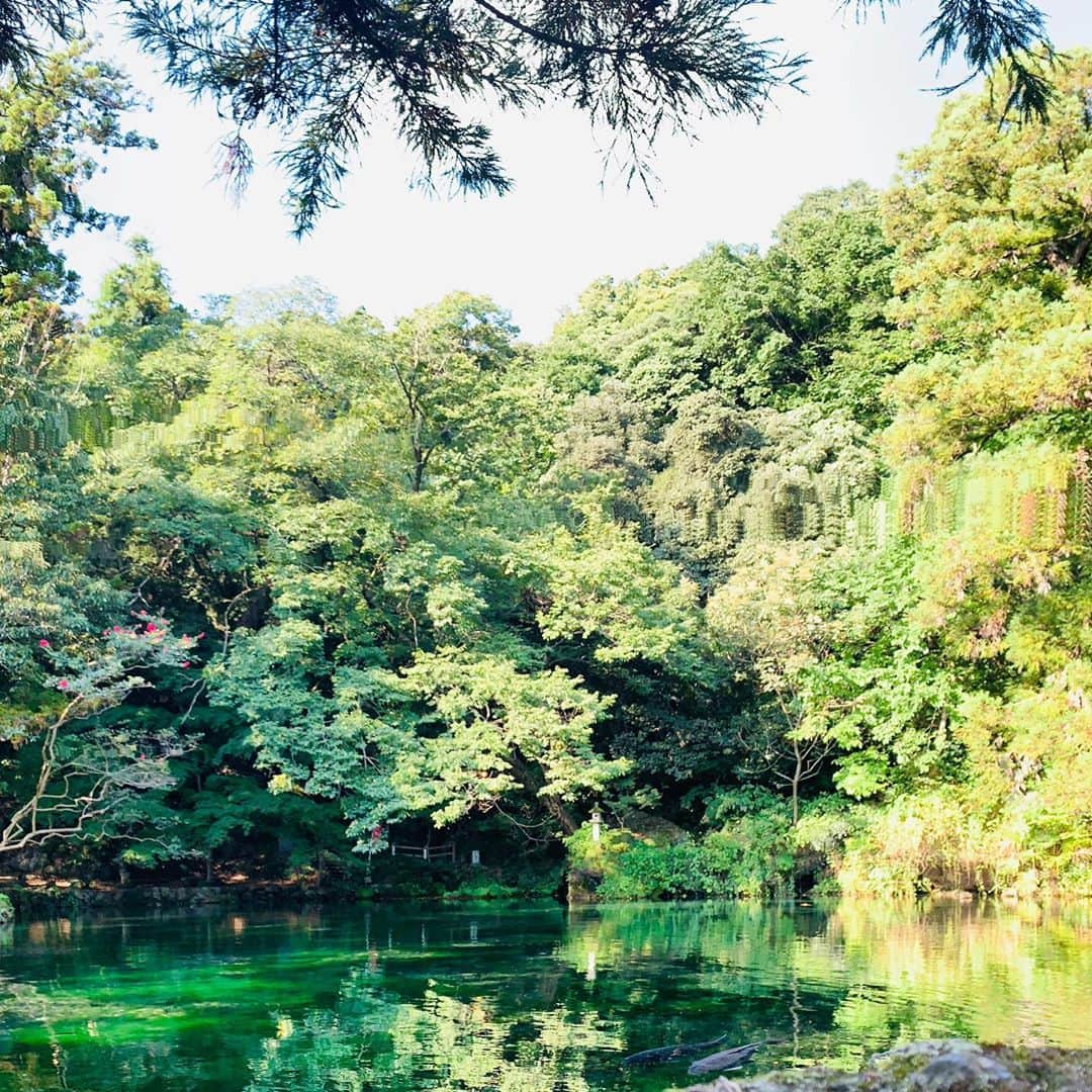 サトウヒロコさんのインスタグラム写真 - (サトウヒロコInstagram)「栃木県佐野市の弁天池。 太陽の傾きで色が変わるの。 ここ好き。  #栃木観光 #栃木 #佐野市 #弁天池 #ばえ #映えスポット #instagood #instagram #instagramjapan」9月24日 0時37分 - satohiroko1208