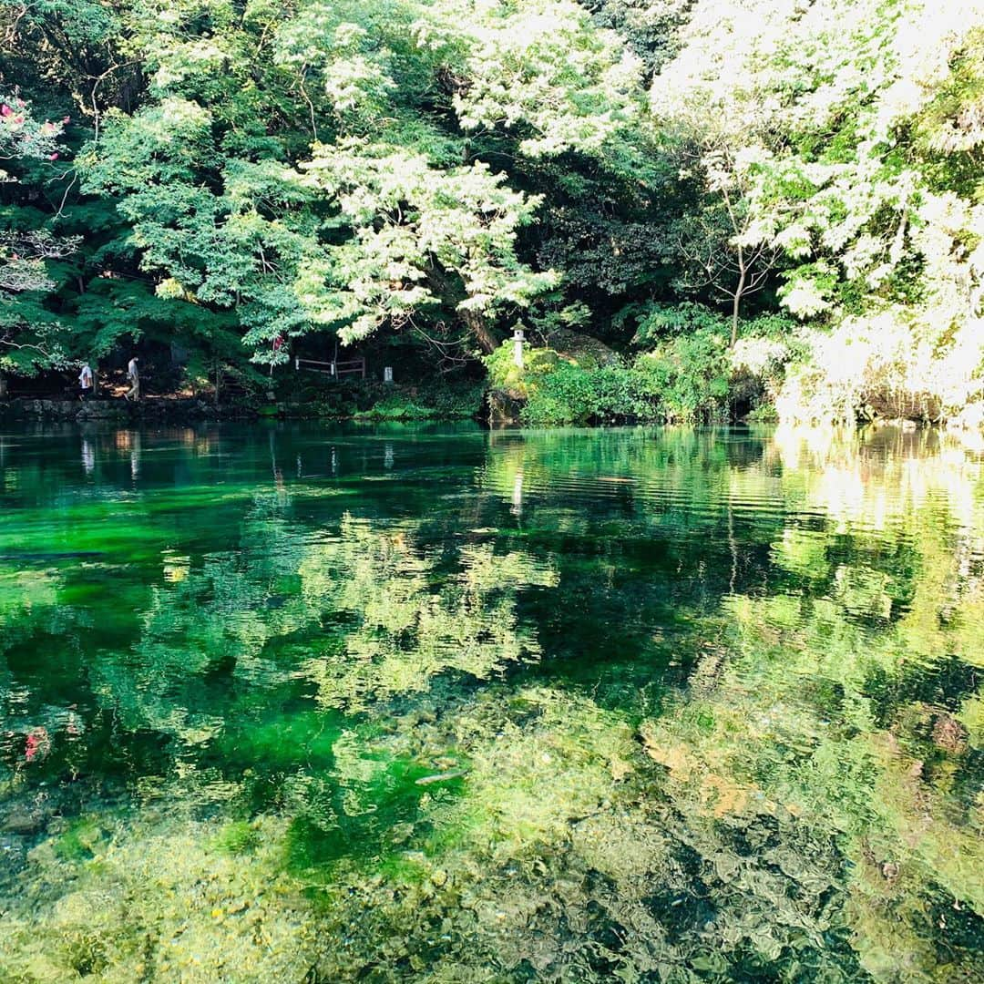 サトウヒロコさんのインスタグラム写真 - (サトウヒロコInstagram)「栃木県佐野市の弁天池。 太陽の傾きで色が変わるの。 ここ好き。  #栃木観光 #栃木 #佐野市 #弁天池 #ばえ #映えスポット #instagood #instagram #instagramjapan」9月24日 0時37分 - satohiroko1208