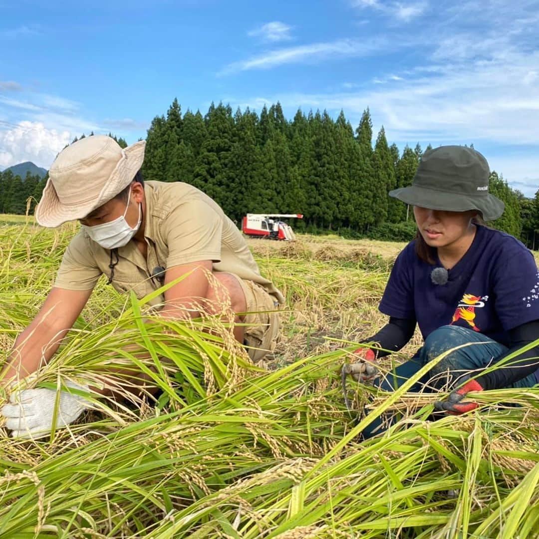 大角怜司さんのインスタグラム写真 - (大角怜司Instagram)「今月の探県は「阿賀町」！  月に一度、各市町村の魅力を掘り下げる「探県Thursday」  9月は阿賀町を探県！  自然豊かなこの町に移住してきた方々に、阿賀町の魅力を聞いてきました！！  稲刈りにも挑戦！？！？　　　  24日の「スーパーＪにいがた」で放送されます！  是非ご覧ください！！  #探県thursday  #新潟 #阿賀町 #農業女子 #スーパーjにいがた  #新潟テレビ21 #ux#新人アナウンサー」9月23日 19時08分 - ux_ogaku.reiji