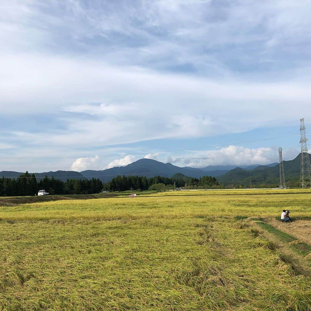 大角怜司さんのインスタグラム写真 - (大角怜司Instagram)「今月の探県は「阿賀町」！  月に一度、各市町村の魅力を掘り下げる「探県Thursday」  9月は阿賀町を探県！  自然豊かなこの町に移住してきた方々に、阿賀町の魅力を聞いてきました！！  稲刈りにも挑戦！？！？　　　  24日の「スーパーＪにいがた」で放送されます！  是非ご覧ください！！  #探県thursday  #新潟 #阿賀町 #農業女子 #スーパーjにいがた  #新潟テレビ21 #ux#新人アナウンサー」9月23日 19時08分 - ux_ogaku.reiji