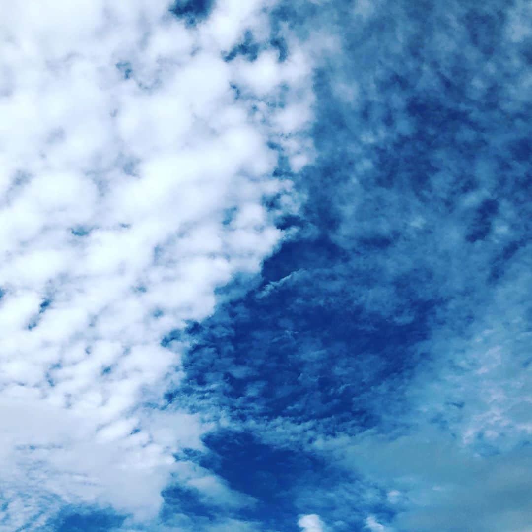 綾瀬マリアさんのインスタグラム写真 - (綾瀬マリアInstagram)「#青空 を見上げるの好き。  だけど…  #四葉のクローバー 🍀 を見つけるのは、私の特技だと思う✨  「あ、#四葉 〜💕」 と、思ったら…  もうひとう見つけちゃった😍  いいこといっぱいありますように 🍀🍀🍀🍀🍀🍀🍀🍀🍀🍀🍀🍀」9月23日 19時22分 - ayasemaria