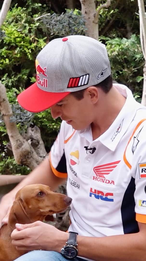 レプソル・ホンダのインスタグラム：「At home in Cervera, Marc Marquez sat down to talk about his recovery, the wide-open 2020 season and more...」
