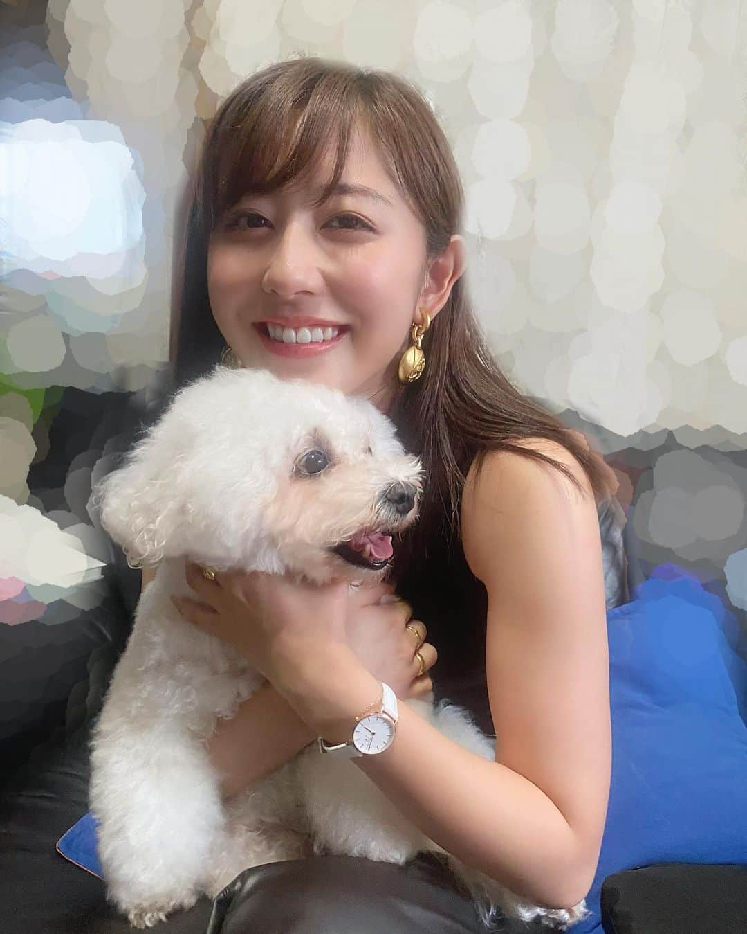 斎藤ちはるさんのインスタグラム写真 - (斎藤ちはるInstagram)「大好きな大好きなわんちゃん🐶 . 親戚の家に行く度に大喜びで出迎えてくれる😭🌟 . . #私 の #癒し #お出迎え が #とっても #嬉しいので #よーしよしよし と #わっしゃわっしゃ #撫でる #毛がもふもふ . . #斎藤ちはる#テレビ朝日#テレビ朝日アナウンサー#テレ朝#アナウンサー#犬#わんちゃん#大喜び#お出迎え犬#しっぽ#ビションフリーゼ#ビション#わんこ#犬バカ部#わしゃわしゃ#犬好き#もふもふ#モフモフ」9月23日 20時02分 - chiharu_saito_ex