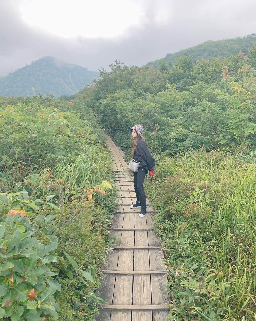 fumikaさんのインスタグラム写真 - (fumikaInstagram)「弾丸長野へ旅してきた。  #長野 #緑のある生活 #山」9月23日 21時05分 - fumikasingasong