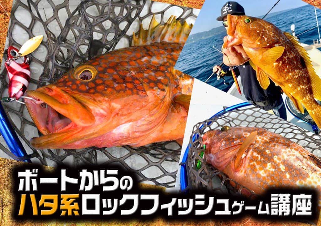LureNews.TVのインスタグラム