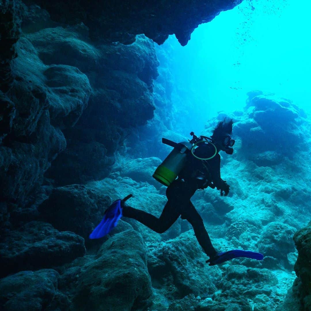 木村文乃さんのインスタグラム写真 - (木村文乃Instagram)「*** 無重力ラン@海中  #ダイビング #diving #diver #水中カメラ」9月23日 21時49分 - uminokimura_official