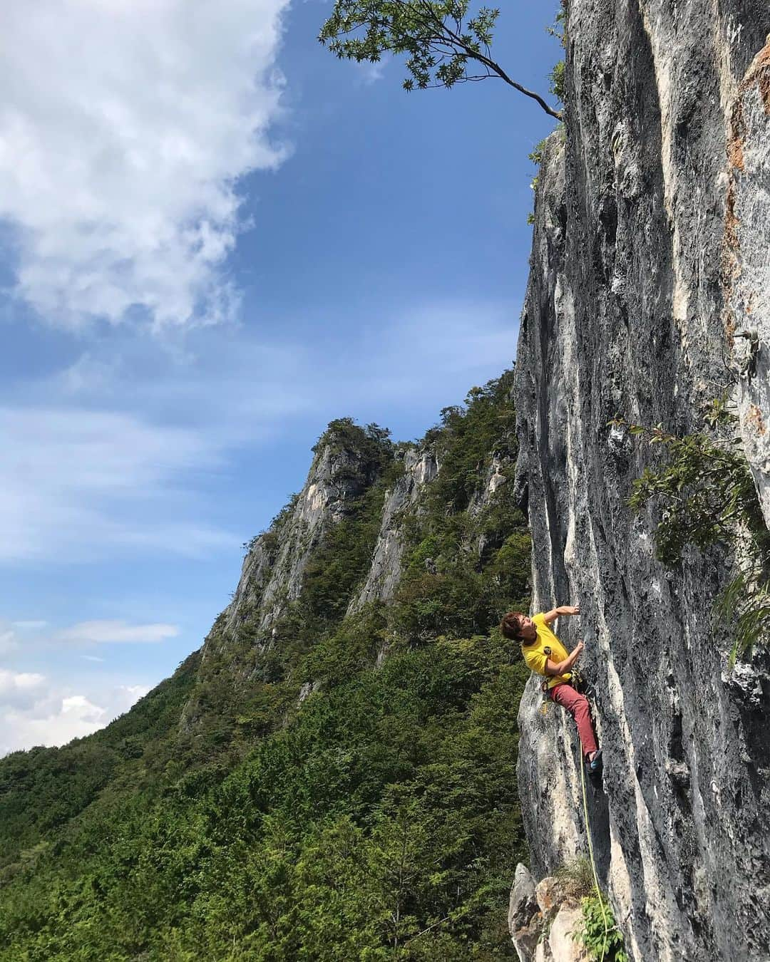 伊東秀和さんのインスタグラム写真 - (伊東秀和Instagram)「二子山へ！  秋の空気を感じるようになってきた✨ 最近中間部のガバがなくなってから、登られていなかったという課題を再登💥  あまり使ってない指が、OSトライではかなり驚いてダメージ受けましたが、2回目で良い登りができました🌈その後もゆっくり他の課題を😊  ご一緒いただいた皆さんありがとうございました！また来週行きたい💫 @raffinee_orientalbio @mammut_japan @camp1889  #climbing #rockclimbing #小鹿野町 #小鹿野クライミング委員会 #秋の訪れを感じる #リハビリ3週目 #修復中」9月23日 22時04分 - hide9a2019