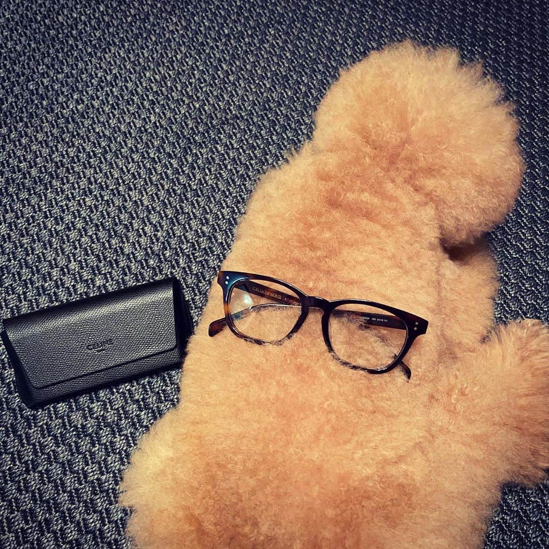 小泉里子のインスタグラム：「メガネを新調👓 @celine  やっぱり鼈甲が好きだな。  トコにかけて写真撮りたかったけど、無理でした。  #トコリケ」