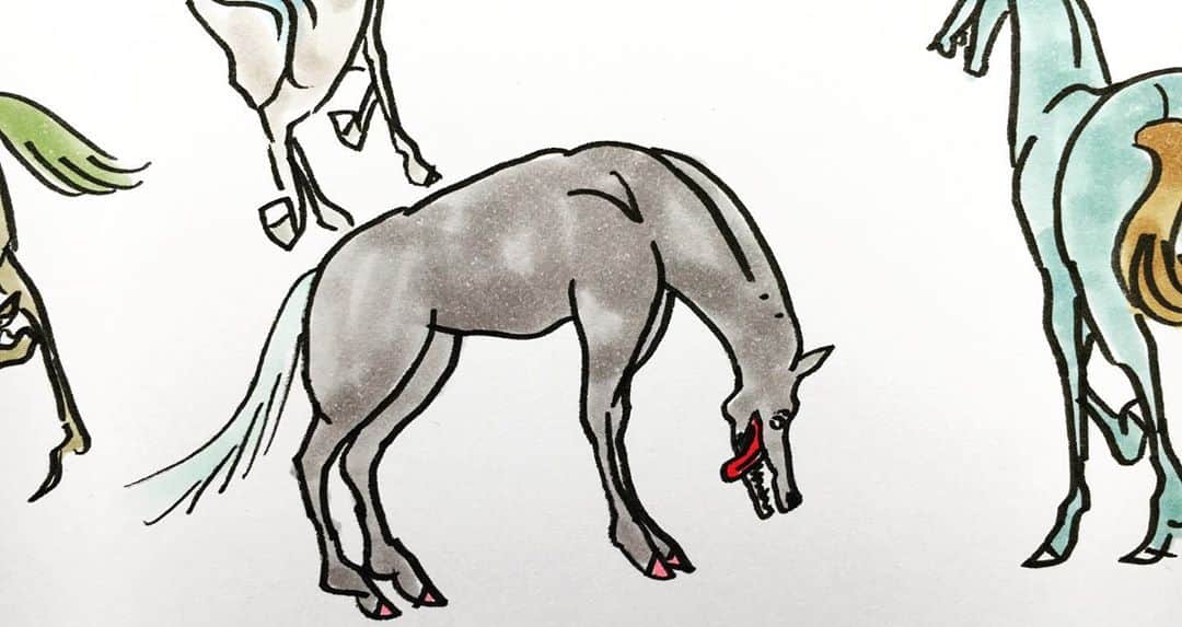 LiLi （矢野り々子）さんのインスタグラム写真 - (LiLi （矢野り々子）Instagram)「犬馬戯画 doghorse caricature  lili 13yrs old  #戯画 #矢野り々子」9月23日 22時35分 - liliko.y