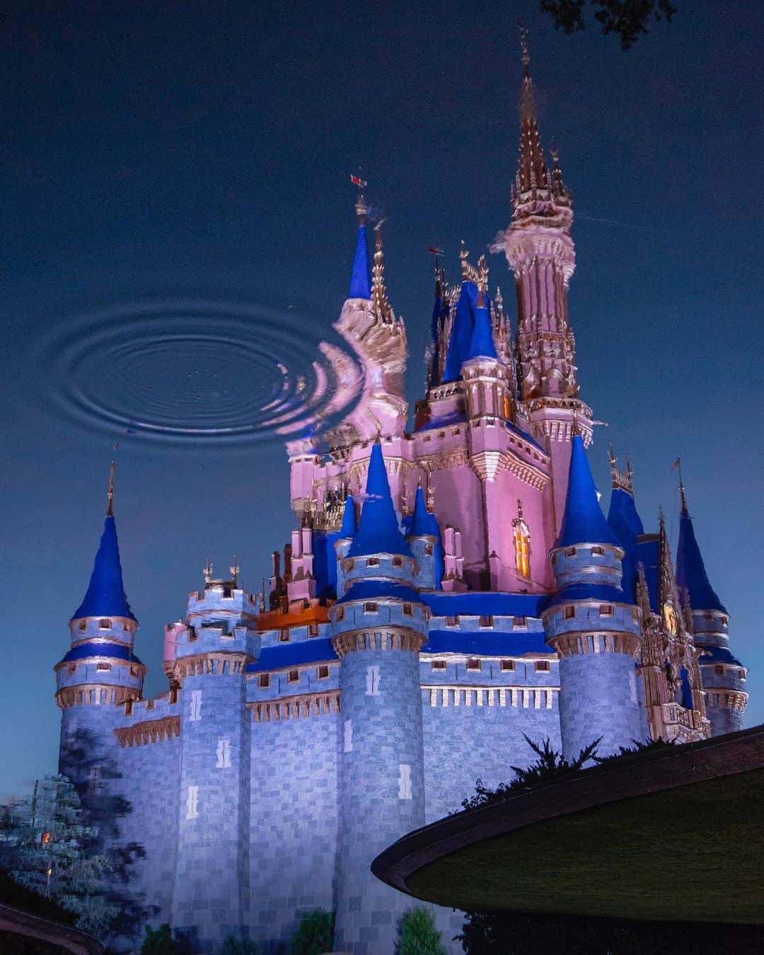 Walt Disney Worldのインスタグラム：「Read the story behind this photo of Cinderella Castle at #MagicKingdom Park from the photographer 📷 who took it in this week’s Behind the Camera on the @DisneyParksBlog. #DisneyMagicMoments ✨」