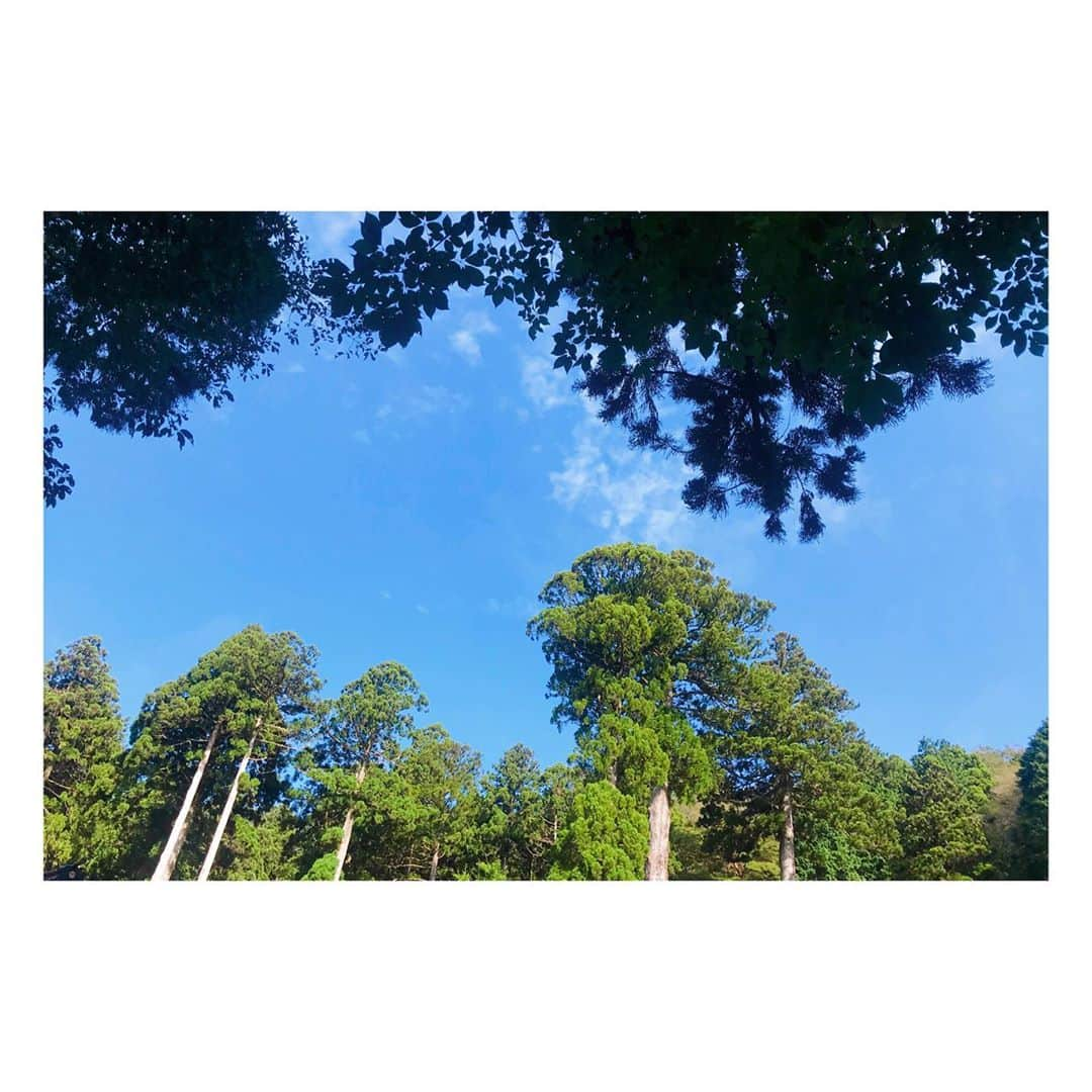 林愛夏さんのインスタグラム写真 - (林愛夏Instagram)「朝の空気が気持ち良かった🍃﻿ ﻿ #１枚目の写真のどこかに林が映り込んでおります﻿ #どこでしょうか ^_^﻿ ﻿#箱根神社 #九頭竜神社  ﻿ ﻿」9月23日 22時51分 - baby_manatsu