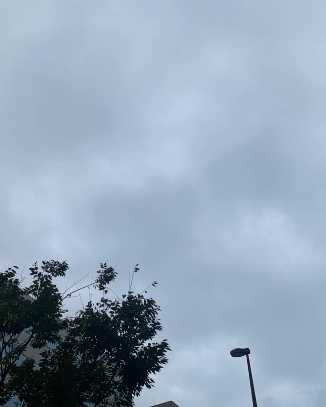 福岡放送「バリはやッ!」さんのインスタグラム写真 - (福岡放送「バリはやッ!」Instagram)「今日は雨が降ったり止んだり🌧 濡れた時の為に タオルなど持ち歩くと🙆‍♂️  この後、気温が上がらないので 僕のように長袖で出掛けましょう☺️  そして2年間出演させて頂いた 『バリはやッ!』を卒業します🙏🏽  ホントに感謝でいっぱいです  コレからも福岡の朝は  バリはやッ!で決まりだ❗️  #バリはや  #バリはやお天気  #岡進太郎 #10神actor」9月24日 8時30分 - barihaya