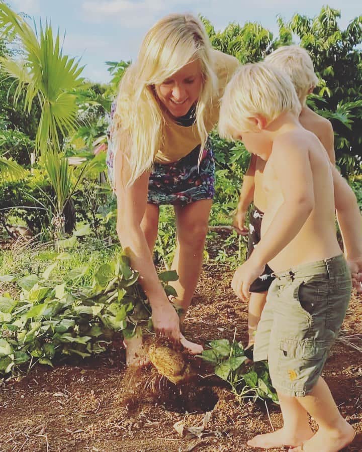 Bethany Hamiltonのインスタグラム：「Harvest adventures with our super posse of boys in our family 💚Jicama might have been one of our favorite harvest so far as we are venturing into growing our own food!!! 🌱🍃🌞」