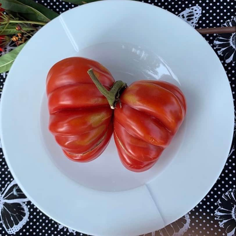 uglyfruitandvegのインスタグラム：「The Heirloom Butterfly! 🍅🦋 Pic by @kirkhamsusan」