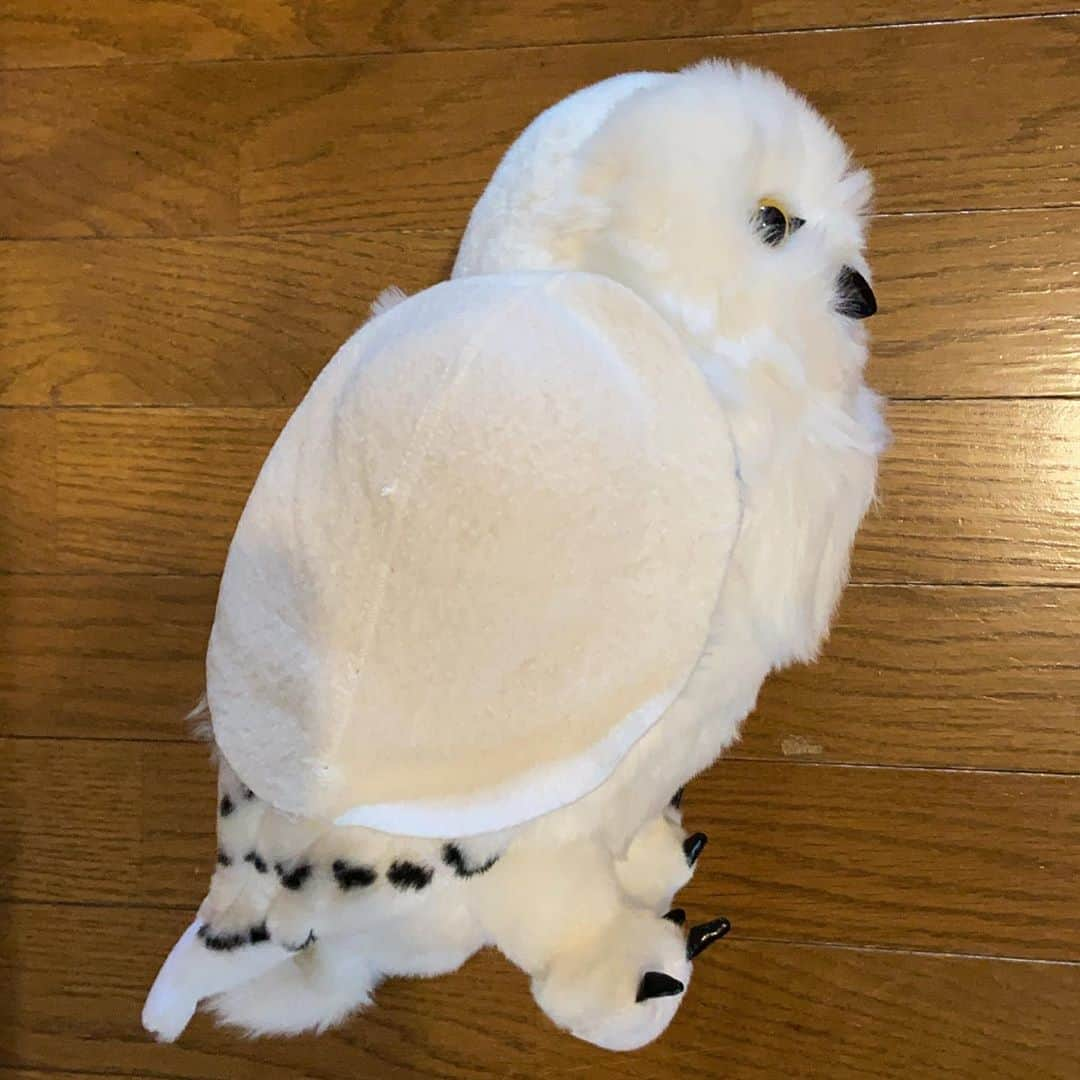 KEN KAGAMIさんのインスタグラム写真 - (KEN KAGAMIInstagram)「owl with Shoulder pad  2020」9月24日 9時37分 - kenkagami