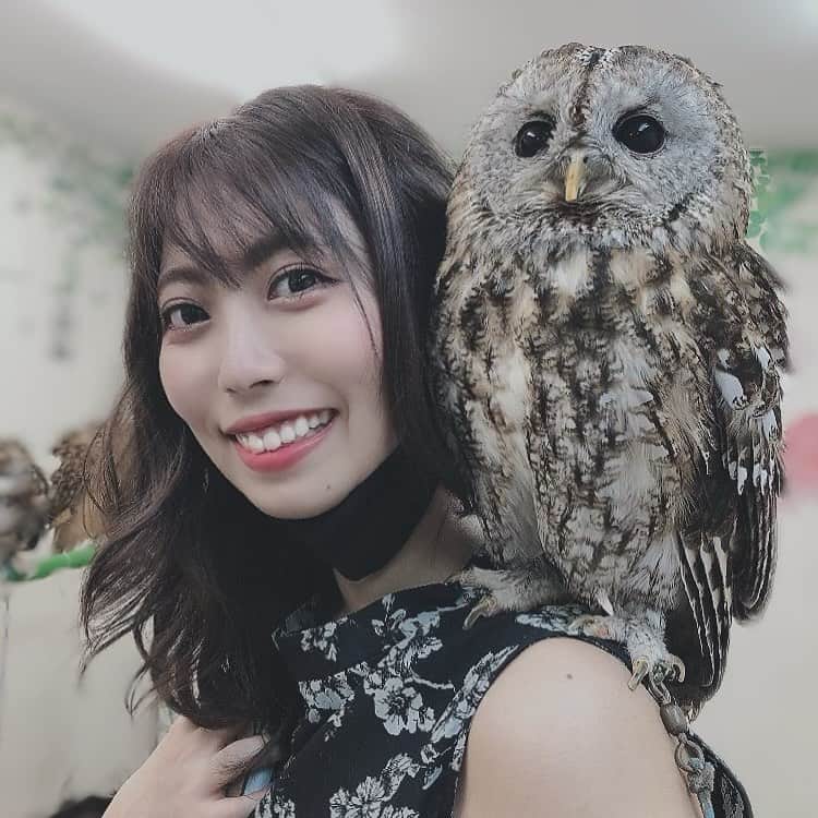 のインスタグラム：「こんばんは！台風が近づいてきて気圧にやられています☹️皆さんは大丈夫でしょうか。 最近はフクロウにハマってます(いきなり) 餌やりもしたんですが、、、それがトラウマになり、鶏肉が食べられなくて焦ってます😂 フクロウカフェに通いたいなぁ . .  #japanesegirl #萌 #自拍 #模特 #粉我 #tbt #swag #动漫 #扎心了#맞팔  #东京 #偶像 #这个女孩 #可爱 #귀엽다 #아이돌 #단발머리 #短发 #粉我 #girl #followme #hair #me #日本 #女 #Owl #フクロウ #ふくろう #ふくろうカフェ #🦉」