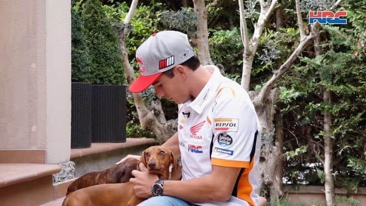レプソル・ホンダのインスタグラム：「The real stars of the interview? 🐶」
