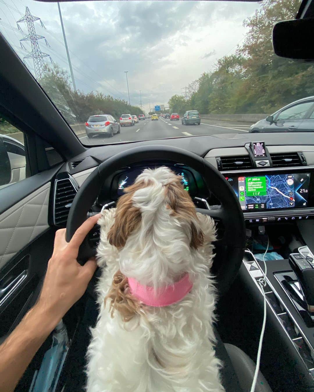 ジャン＝エリック・ベルニュのインスタグラム：「Hey @dstecheetah , I found my reserve driver !」