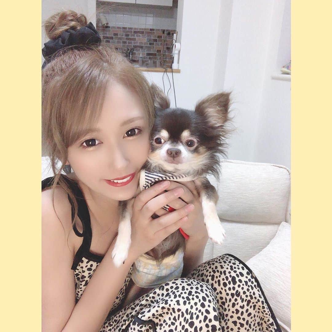 七瀬美月さんのインスタグラム写真 - (七瀬美月Instagram)「だいすきまろさん🐶😚💓 今日久々のバイトで🍜🥟楽しかったなん🕺✨✨ 今週からまた沢山出る！  イチナナ毎日配信して沢山喋ってても、実際 外に出て人とリアルに接するのはとても大事ですな⭐️🌷  . みんな台風気をつけてね🌪🌼  . #台風#🌪#まろさん#チワワ#🐶」9月24日 2時38分 - yskwask1114